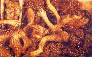 Aborted babies in pieces